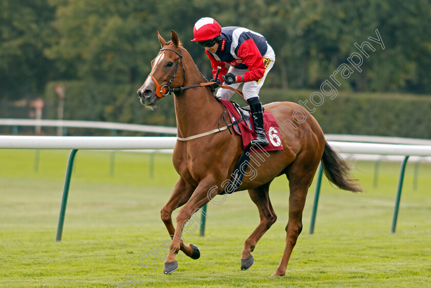 Ventura-Express-0002 
 VENTURA EXPRESS (Graham Lee)
Haydock 2 Sep 2022 - Pic Steven Cargill / Racingfotos.com