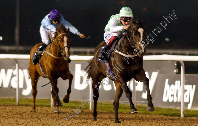 Martineo-0002 
 MARTINEO (Adam Kirby) wins The Like Sun Racing On Facebook Handicap
Wolverhampton 26 Feb 2019 - Pic Steven Cargill / Racingfotos.com