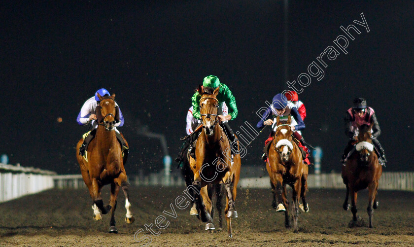 Candleford-0006 
 CANDLEFORD (Tom Marquand) wins The Unibet 3 Uniboosts A Day Handicap
Kempton 10 Nov 2021 - Pic Steven Cargill / Racingfotos.com