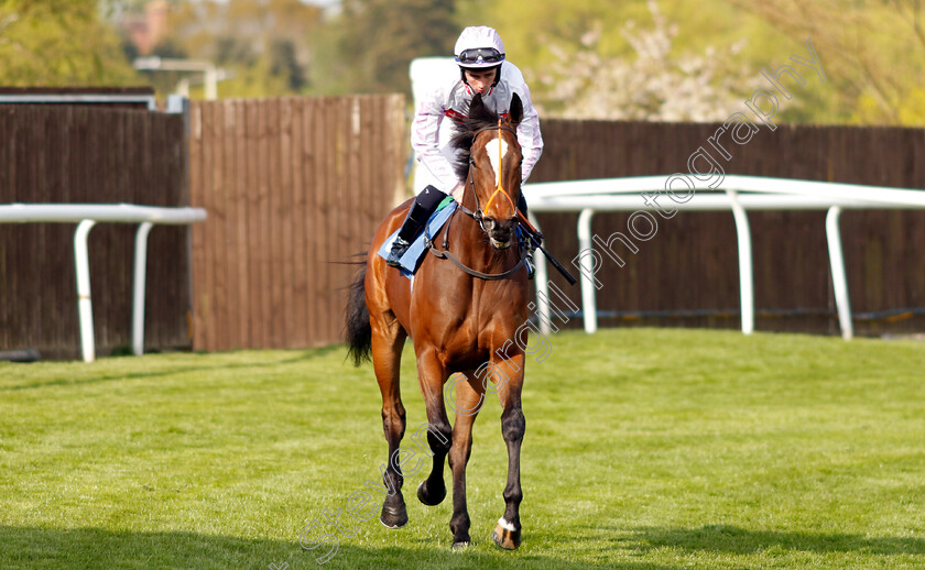 Loquace 
 LOQUACE (Rossa Ryan)
Leicester 23 Apr 2022 - Pic Steven Cargill / Racingfotos.com