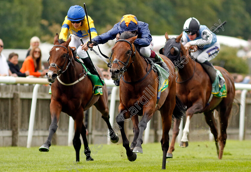 Involvement-0002 
 INVOLVEMENT (Oisin Murphy) wins The bet365 Handicap
Newmarket 12 Jul 2024 - pic Steven Cargill / Racingfotos.com