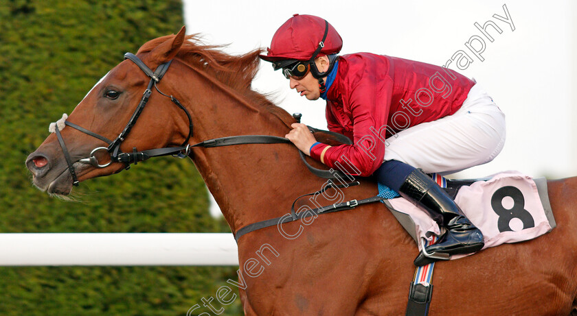 Maximum-Effect-0007 
 MAXIMUM EFFECT (Nicky Mackay) wins The Close Brothers Business Finance Maiden Fillies Stakes
Kempton 9 Oct 2019 - Pic Steven Cargill / Racingfotos.com