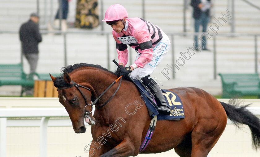 Winston s-Warrior-0003 
 WINSTON'S WARRIOR (Kieran Shoemark)
Ascot 6 Sep 2024 - Pic Steven Cargill / Racingfotos.com