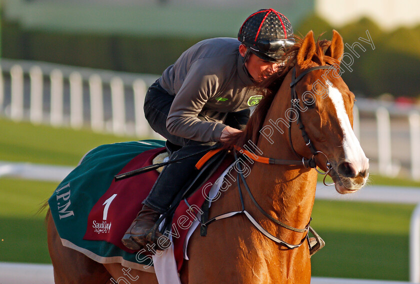 Sonnyboyliston-0002 
 SONNYBOYLISTON training for The Turf Handicap
King Abdulaziz Racetrack, Riyadh, Saudi Arabia 23 Feb 2022 - Pic Steven Cargill / Racingfotos.com