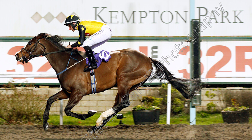 Fujaira-King-0004 
 FUJAIRA KING (P J McDonald) wins The 100% Profit Boost At 32Redsport.com Handicap
Kempton 29 Jan 2020 - Pic Steven Cargill / Racingfotos.com