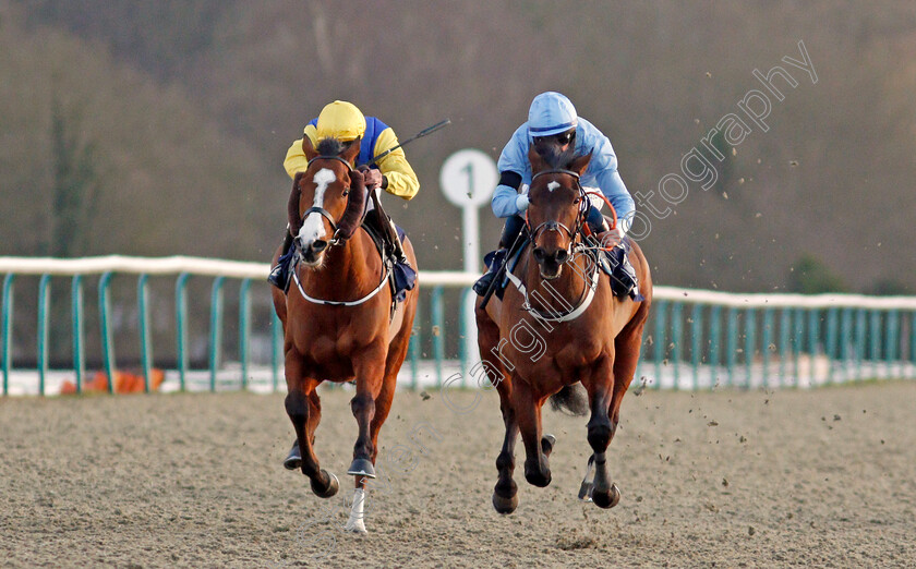 Battle-Of-Marathon-0002 
 BATTLE OF MARATHON (right, Darragh Keenan) beats RENARDEAU (left) in The Betway Apprentice Handicap
Lingfield 8 Feb 2020 - Pic Steven Cargill / Racingfotos.com