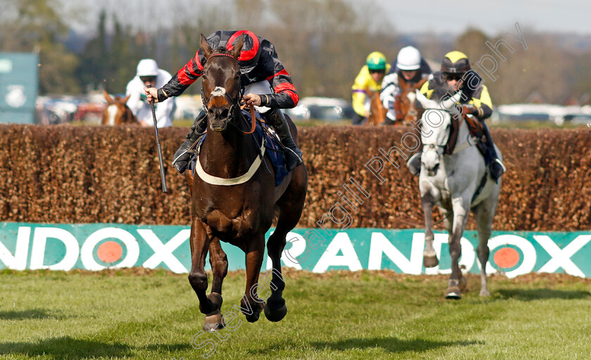 Daly-Tiger-0001 
 DALY TIGER (Patrick Cowley)
Aintree 15 Apr 2023 - Pic Steven Cargill / Racingfotos.com