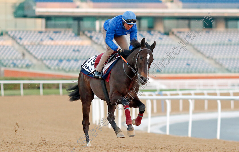 Raiku-0002 
 RAIKU training at Meydan, Dubai
2 Feb 2023 - Pic Steven Cargill / Racingfotos.com