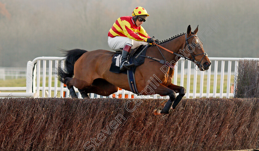 Westend-Story-0001 
 WESTEND STORY (Richard Johnson)
Newbury 30 Nov 2019 - Pic Steven Cargill / Racingfotos.com