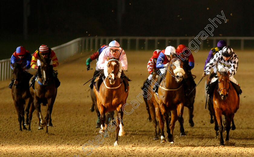 Captain-Ryan-0002 
 CAPTAIN RYAN (centre, Kieran O'Neill) beats STORM TROOPER (2nd right) in The Betway Sprint Handicap
Wolverhampton 7 Jan 2019 - Pic Steven Cargill / Racingfotos.com