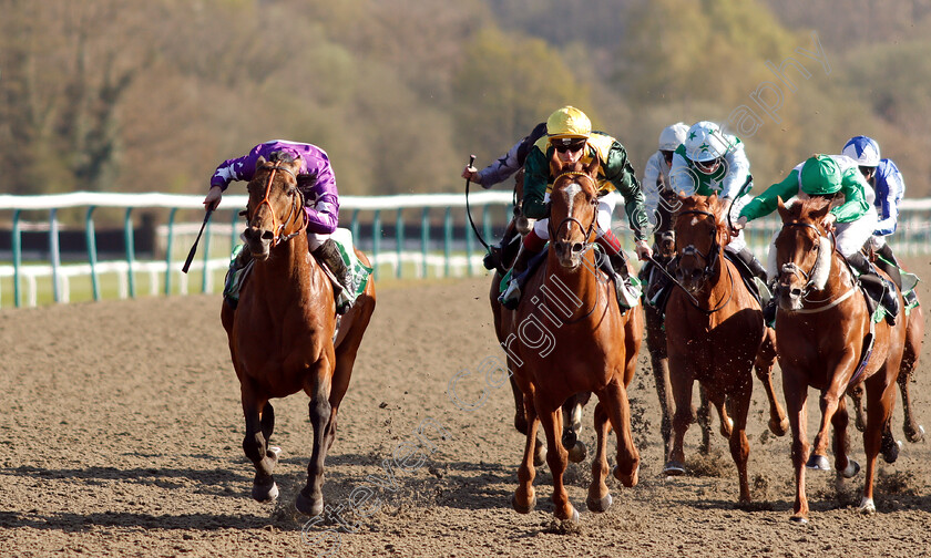 Oh-This-Is-Us-0002 
 OH THIS IS US (Tom Marquand) beats INDYCO (centre) in The Sun Racing All-Weather Mile Championships Stakes
Lingfield 19 Apr 2019 - Pic Steven Cargill / Racingfotos.com