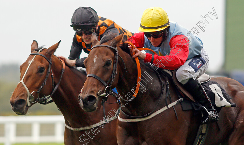 King s-Pavilion-0002 
 KING'S PAVILION (right, Eireann Cagney) beats HAWRIDGE STORM (left) in The Amateur Jockeys Association Handicap
Ascot 4 Oct 2019 - Pic Steven Cargill / Racingfotos.com