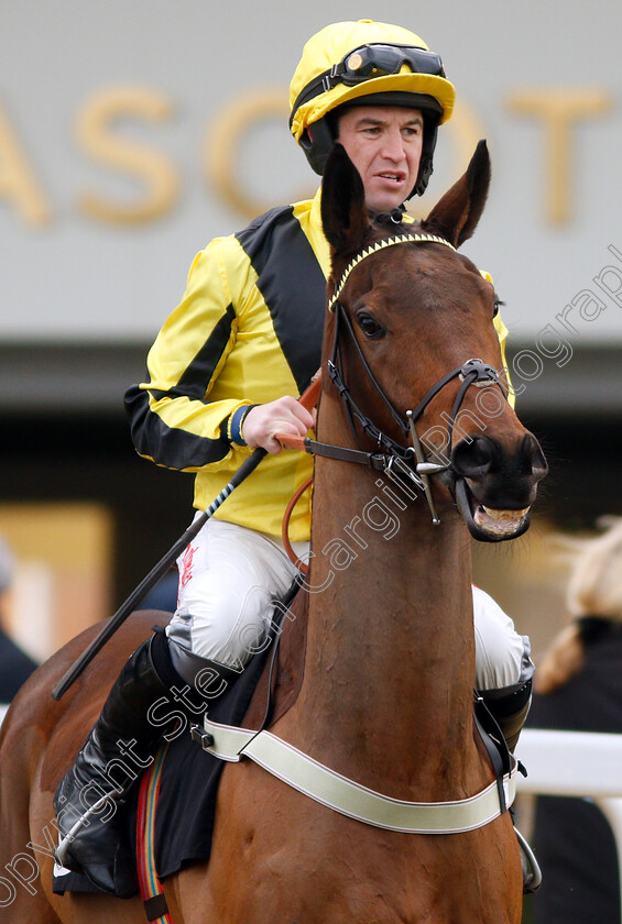 Darksideoftarnside-0001 
 DARKSIDEOFTARNSIDE (Robert Dunne)
Ascot 21 Dec 2018 - Pic Steven Cargill / Racingfotos.com