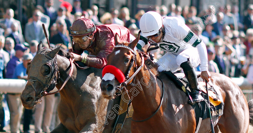 Business-Model-and-B-Dawk-0002 
 BUSINESS MODEL (left, Tyler Gaffalione) dead-heats with B DAWK (right, Luis Saez) in The Haggin Julep Cup
Breeders Cup Meeting, Keeneland USA, 4 Nov 2022 - Pic Steven Cargill / Racingfotos.com