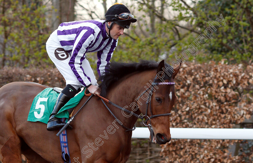 I-Can-0002 
 I CAN (Tom Queally) 
Kempton 3 Apr 2019 - Pic Steven Cargill / Racingfotos.com