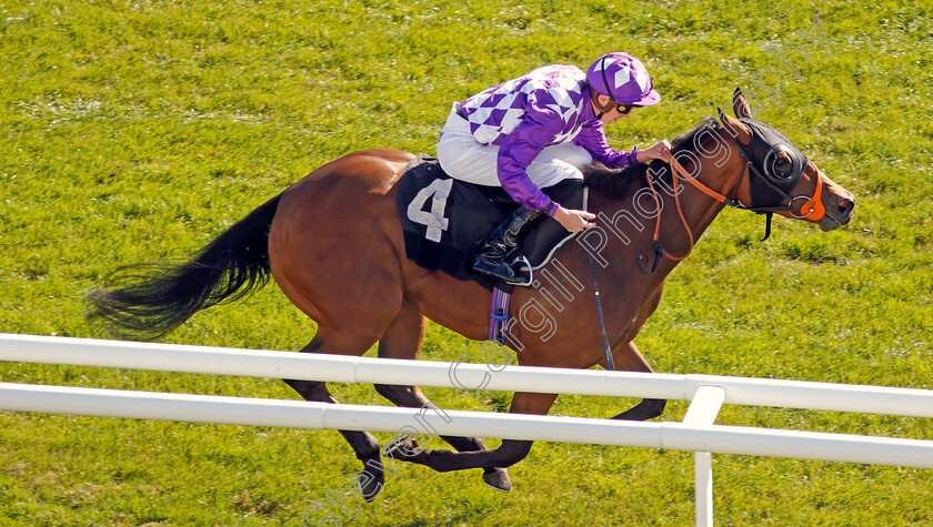 Separate-0007 
 SEPARATE (James Doyle) wins The Dubai Duty Free Nursery
Newbury 20 Spe 2019 - Pic Steven Cargill / Racingfotos.com