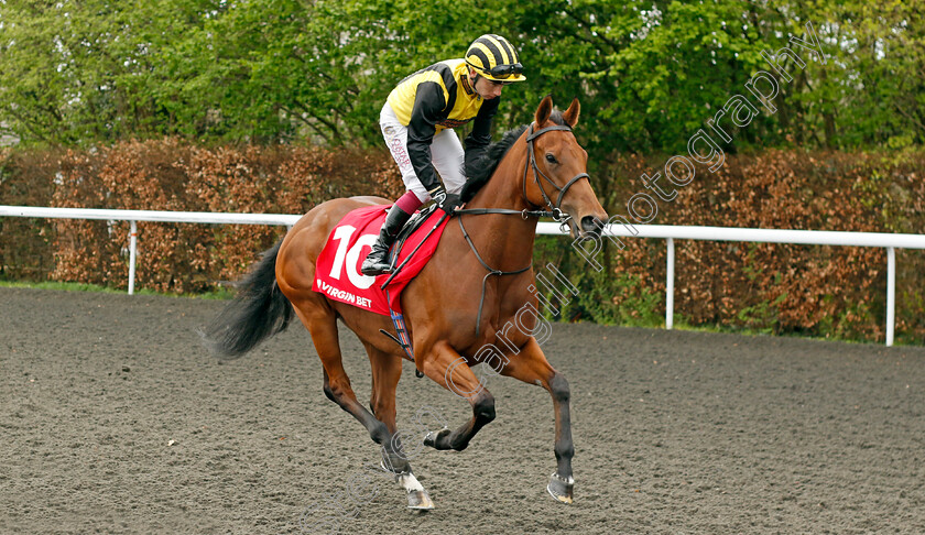 Zouky-0001 
 ZOUKY (Oisin Murphy)
Kempton 6 Apr 2024 - Pic Steven Cargill / Racingfotos.com