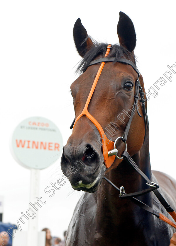 Trillium-0009 
 TRILLIUM winner of The Coral Flying Childers Stakes
Doncaster 11 Sep 2022 - Pic Steven Cargill / Racingfotos.com