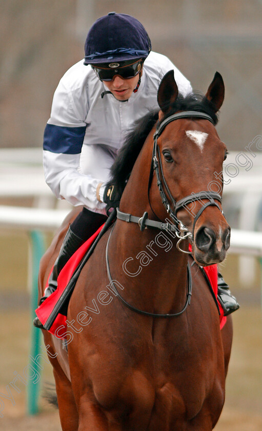 Headway-0001 
 HEADWAY (James Doyle) winner of The 32Red Spring Cup Stakes Lingfield 3 Mar 2018 - Pic Steven Cargill / Racingfotos.com