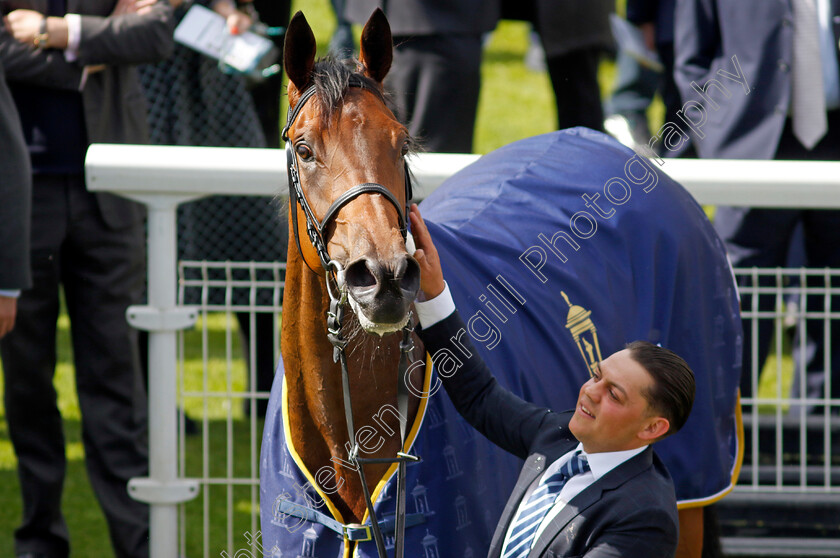 Emily-Upjohn-0017 
 EMILY UPJOHN after The Tattersalls Musidora Stakes
York 11 May 2022 - Pic Steven Cargill / Racingfotos.com