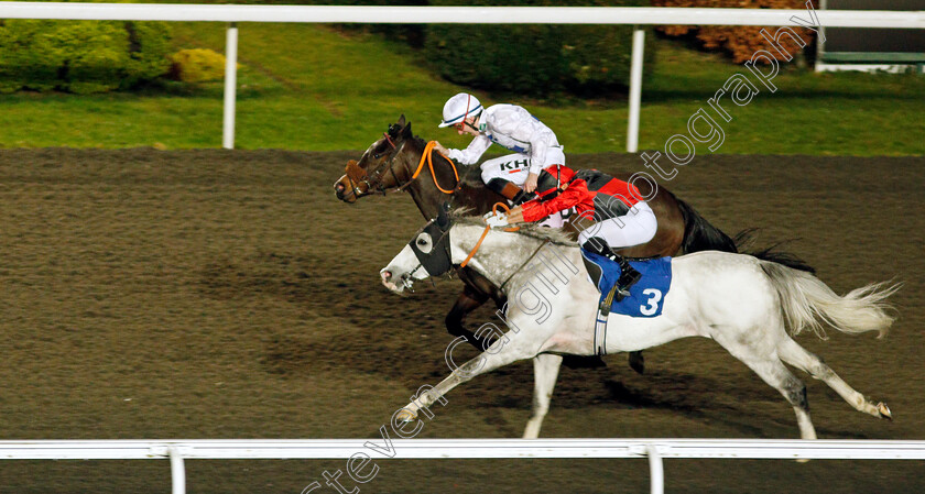 Epsom-Faithfull-0003 
 EPSOM FAITHFULL (farside, David Egan) beats SILVER SAMURAI (nearside) in The Unibet 3 Uniboosts A Day Handicap
Kempton 2 Mar 2022 - Pic Steven Cargill / Racingfotos.com