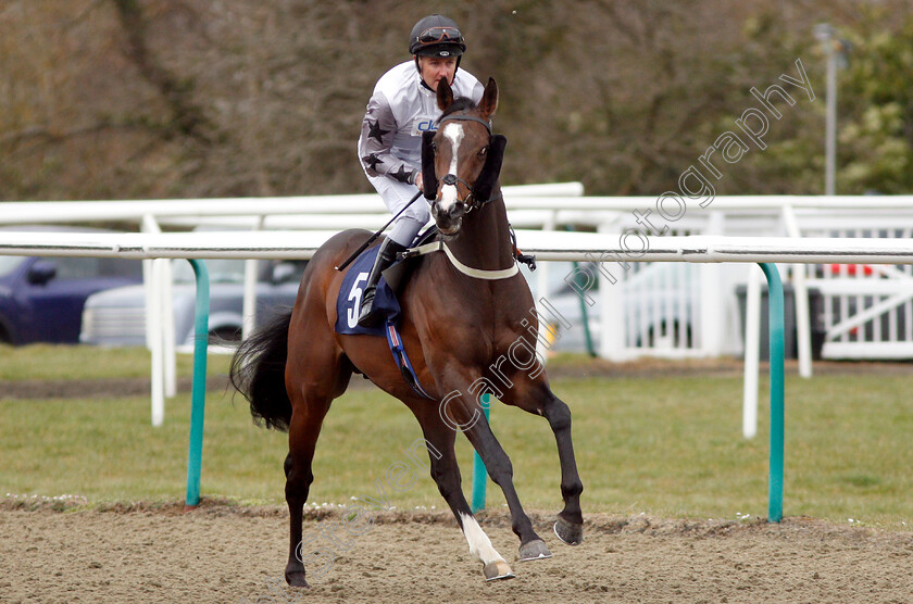 You-Never-Can-Tell-0001 
 YOU NEVER CAN TELL (Tom Queally)
Lingfield 2 Mar 2019 - Pic Steven Cargill / Racingfotos.com