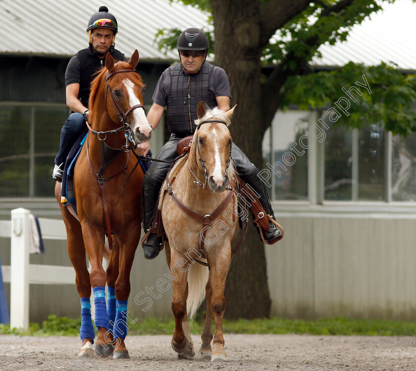 Justify-0002 
 JUSTIFY (Martine Garcia) exercising in preparation for The Belmont Stakes
Belmont Park USA 7 Jun 2018 - Pic Steven Cargill / Racingfotos.com