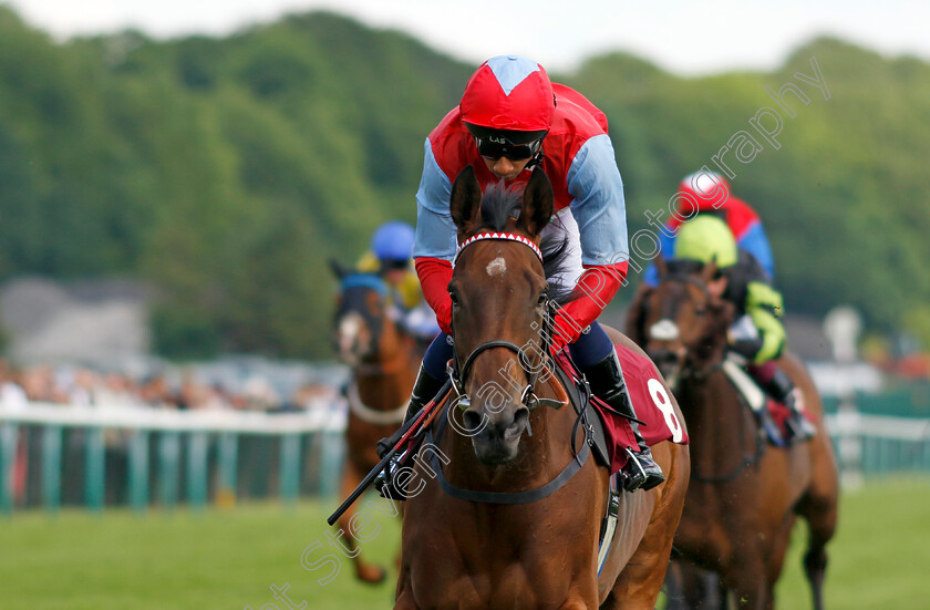 Divine-Comedy-0002 
 DIVINE COMEDY (Kaiya Fraser) wins The Betfred Nifty 50 Hell Nook Handicap
Haydock 25 May 2024 - Pic Steven Cargill / Racingfotos.com