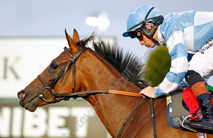 Amiloc-0001 
 AMILOC (Rossa Ryan) wins The RacingTV EBF Restricted Novice Stakes
Kempton 6 Sep 2024 - Pic Steven Cargill / Racingfotos.com