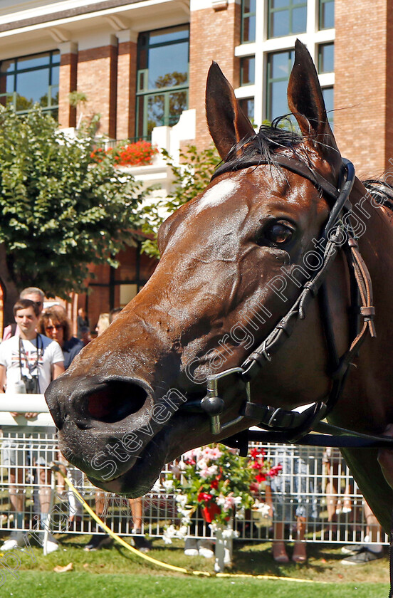 Highfield-Princess-0017 
 HIGHFIELD PRINCESS winner of The Prix Maurice de Gheest 
Deauville 7 Aug 2022 - Pic Steven Cargill / Racingfotos.com