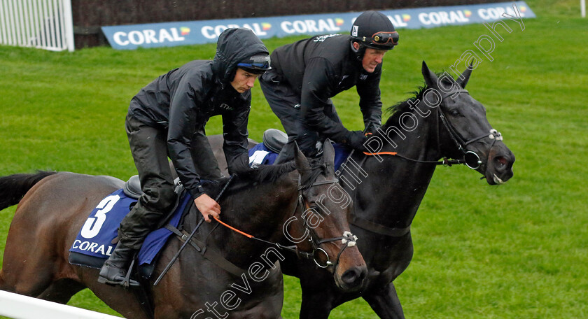 Threeunderthrufive-and-Kapcorse-0002 
 THREEUNDERTHRUFIVE (left, Adrian Heskin) with KAPCORSE (right, A P McCoy) at Coral Gold Cup Weekend Gallops Morning
Newbury 15 Nov 2022 - Pic Steven Cargill / Racingfotos.com