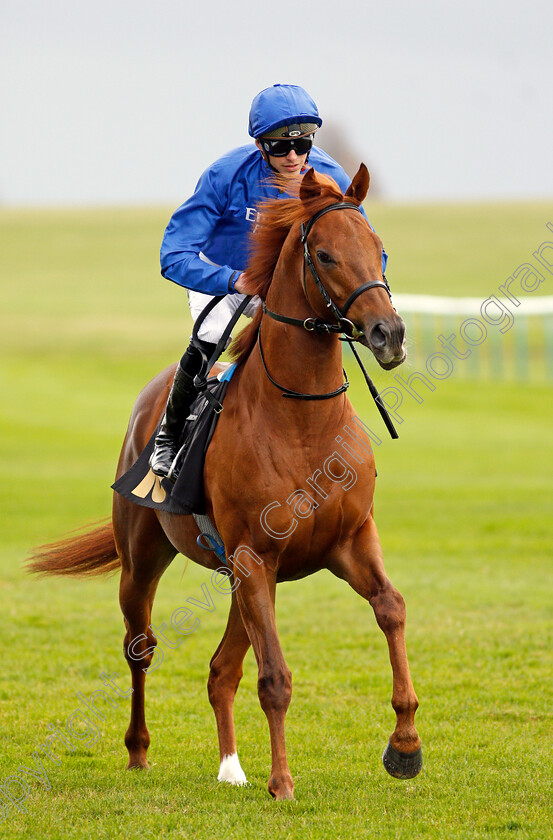 Silent-Speech-0002 
 SILENT SPEECH (James Doyle)
Newmarket 29 Oct 2021 - Pic Steven Cargill / Racingfotos.com