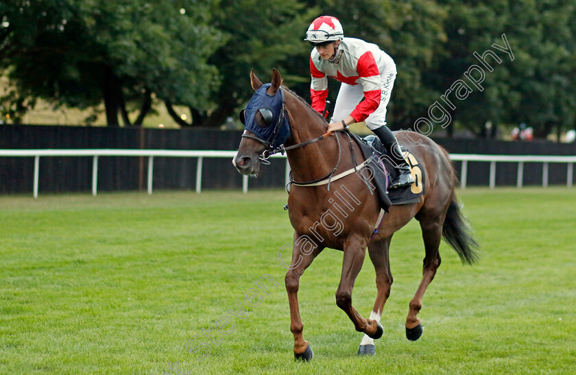 Bossipop 
 BOSSIPOP (Sean Kirrane)
Newmarket 29 Jul 2022 - Pic Steven Cargill / Racingfotos.com