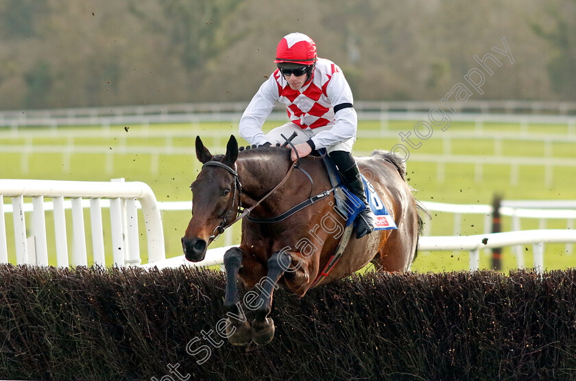 Salmanino-0001 
 SALMANINO (D Doyle)
Punchestown 12 Jan 2025 - Pic Steven Cargill / Racingfotos.com