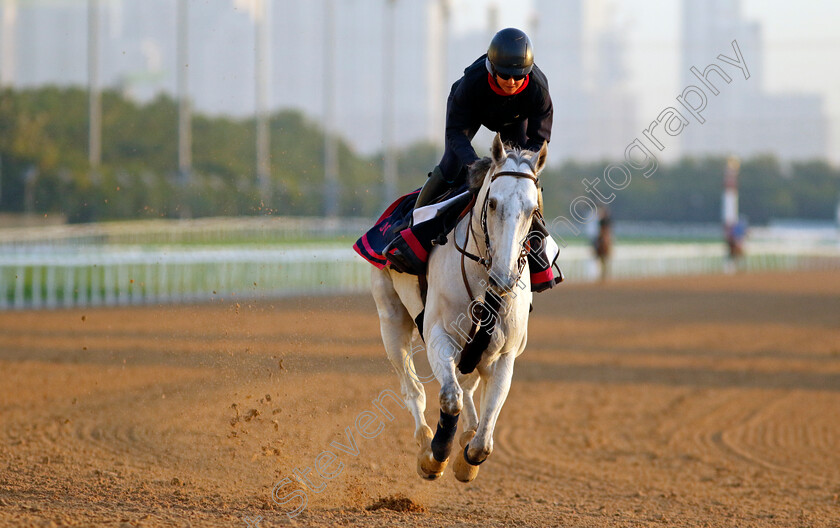 Batwan-0001 
 BATWAN training at the Dubai Racing Carnival
Meydan 22 Jan 2025 - Pic Steven Cargill / Racingfotos.com