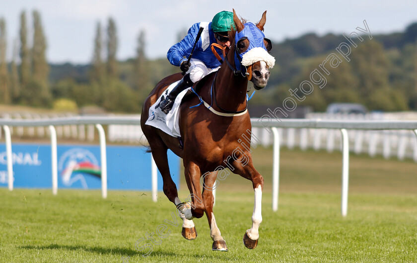 Thamaraat-0005 
 THAMARAAT (Tadhg O'Shea) wins The Dubai Developments Premier Handicap
Newbury 28 Jul 2019 - Pic Steven Cargill / Racingfotos.com