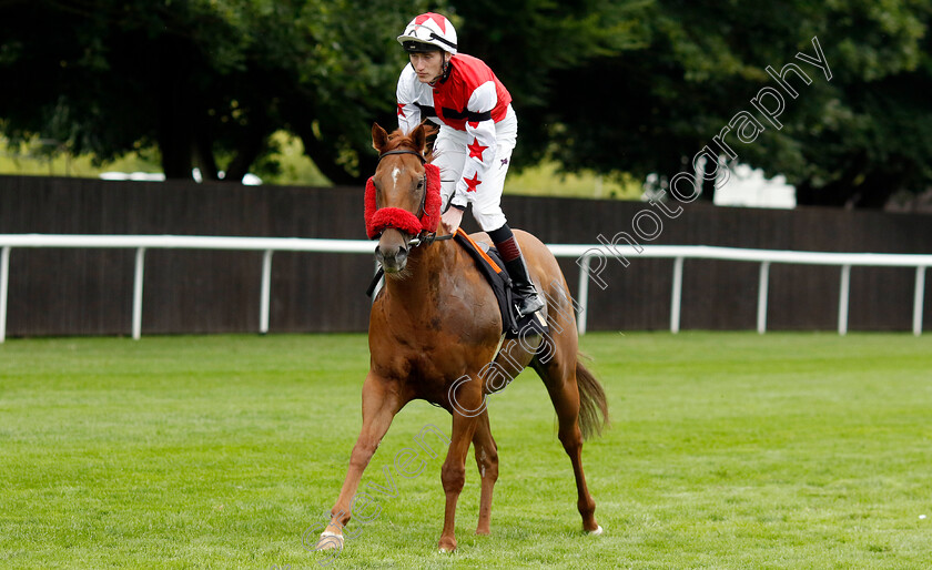 Fantasy-Master-0001 
 FANTASY MASTER (David Egan)
Newmarket 12 Jul 2024 - Pic Steven Cargill / Racingfotos.com