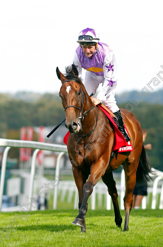 Baltic-Voyage-0001 
 BALTIC VOYAGE (John Egan)
Sandown 2 Sep 2023 - Pic Steven Cargill / Racingfotos.com