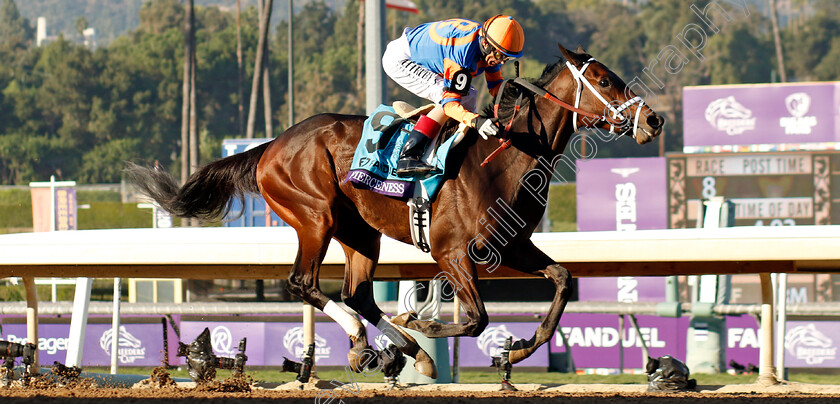 Fierceness-0003 
 FIERCENESS (John Velazquez) wins The Breeders' Cup Juvenile 
Santa Anita 3 Nov 2023 - Pic Steven Cargill / Racingfotos.com