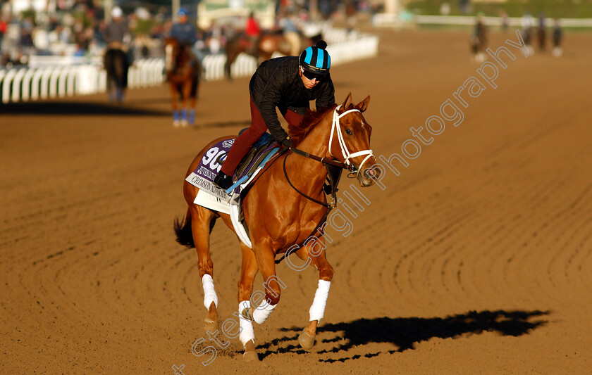 Crimson-Advocate-0001 
 CRIMSON ADVOCATE training for The Breeders' Cup Juvenile Turf Sprint
Santa Anita 2 Nov 2023 - Pic Steven Cargill / Racingfotos.com