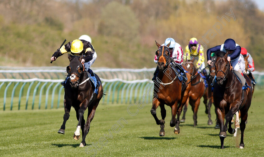 Rise-Hall-0003 
 RISE HALL (left, Oisin Murphy) beats BOWERMAN (right) in The Every Race Live On Racing TV Handicap
Nottingham 10 Apr 2019 - Pic Steven Cargill / Racingfotos.com