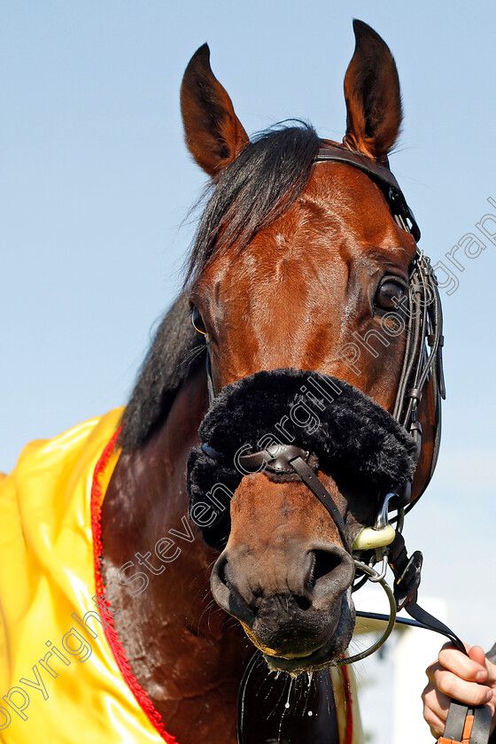 James-Garfield-0012 
 JAMES GARFIELD after The Dubai Duty Free Mill Reef Stakes Newbury 23 Sep 2017 - Pic Steven Cargill / Racingfotos.com