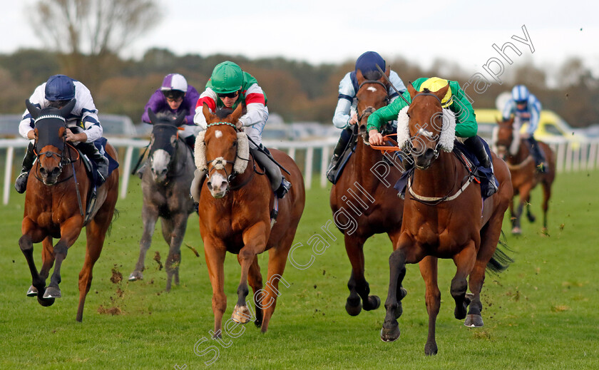 Dapper-Valley-0005 
 DAPPER VALLEY (right, Tom Marquand) beats DASHING DICK (centre) in The Join Moulton Racing Syndicate Handicap
Yarmouth 22 Oct 2024 - Pic Steven Cargill / Racingfotos.com