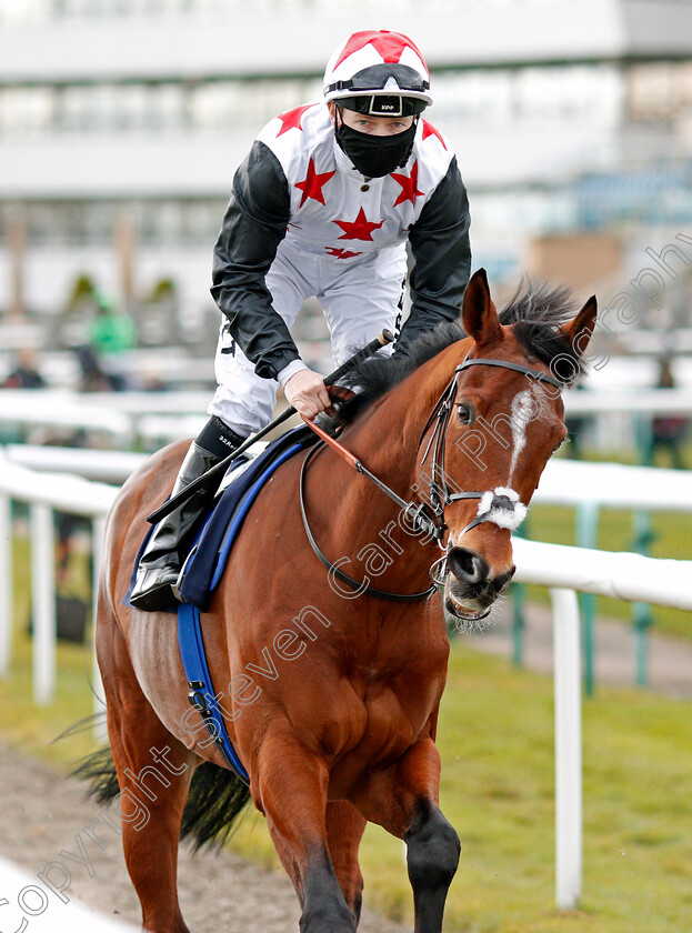 Russian-Virtue-0001 
 RUSSIAN VIRTUE (Jamie Spencer)
Doncaster 28 Mar 2021 - Pic Steven Cargill / Racingfotos.com