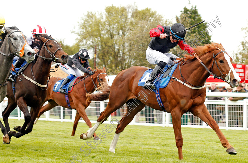 Steeve-0001 
 STEEVE (William Carson) wins The Simon & Nerys Dutfield Memorial British EBF Novice Stakes Salisbury 30 Apr 2018 - Pic Steven Cargill / Racingfotos.com