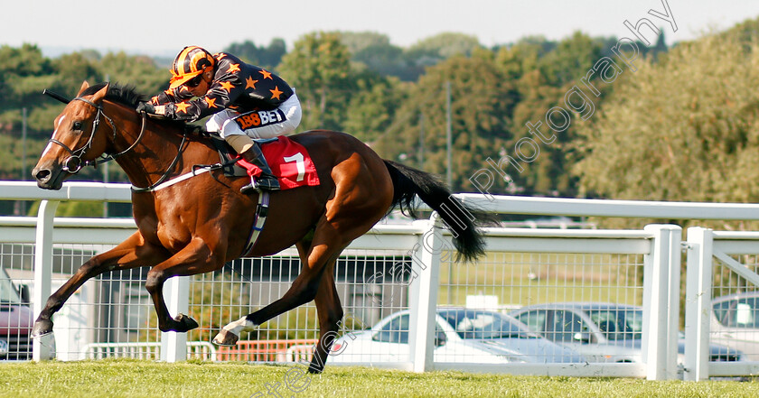 Crownthorpe-0002 
 CROWNTHORPE (Silvestre De Sousa) wins The BetBright Nursery Sandown 2 Sep 2017 - Pic Steven Cargill / Racingfotos.com