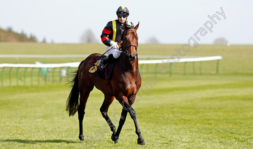 Global-Humor-0001 
 GLOBAL HUMOR (Gerald Mosse) Newmarket 17 Apr 2018 - Pic Steven Cargill / Racingfotos.com