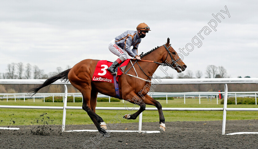 Sky-Defender-0002 
 SKY DEFENDER (Franny Norton)
Kempton 27 Mar 2021 - Pic Steven Cargill / Racingfotos.com