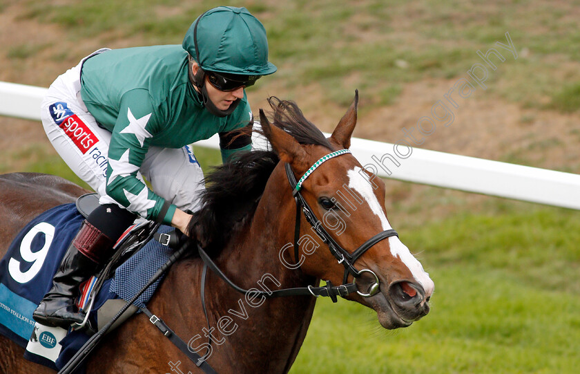 Majestic-Noor-0012 
 MAJESTIC NOOR (Hollie Doyle) wins The EBF Stallions John Musker Fillies Stakes
Yarmouth 16 Sep 2020 - Pic Steven Cargill / Racingfotos.com