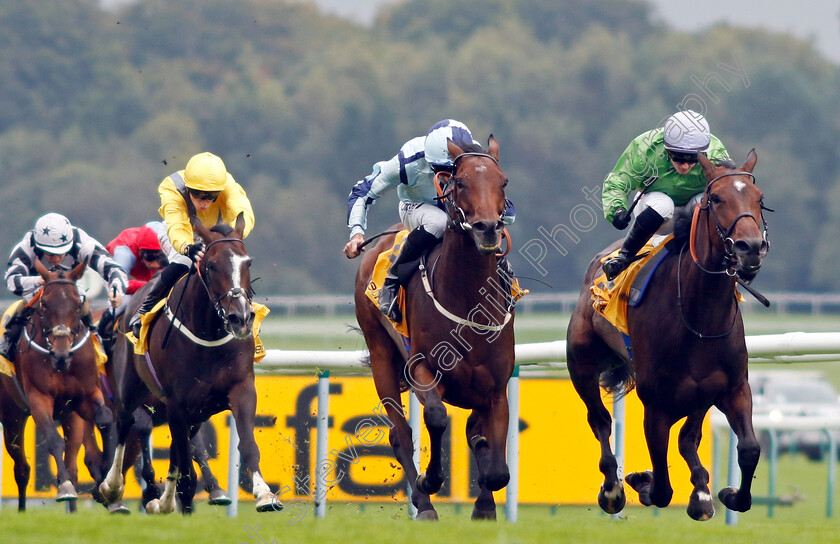 Epic-Poet-0005 
 EPIC POET (left, Daniel Tudhope) beats WAXING GIBBOUS (right) in The Betfair Old Borough Cup
Haydock 7 Sep 2024 - Pic Steven Cargill / Racingfotos.com